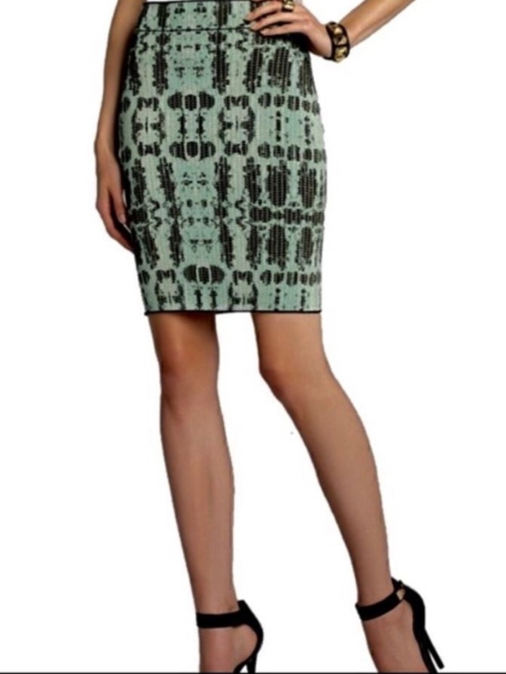 BCBG Maxazria Snake Print Bandage Power Skirt